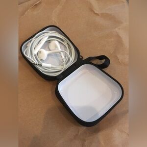 Earbud Travel Case